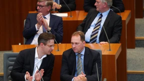 AfD will Wahlergebnis in NRW überprüfen lassen