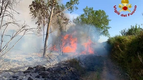 Waldbrand wütet auf Sardinien