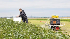 Fruchtbarer Boden ohne Tierdung