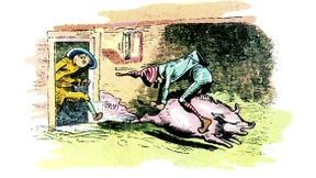 Da ging den Grünen die Sau durch