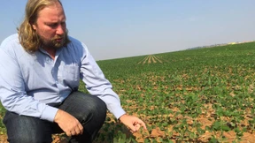 Auch Hofreiter will Spitzenkandidat der Grünen werden