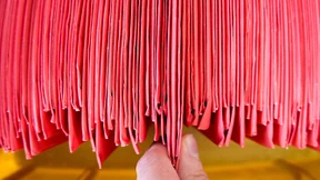 Der Wahlkampf als Umfragekampf