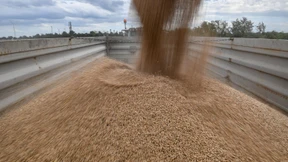 Polen und Ungarn sperren ukrainische Agrargüter aus