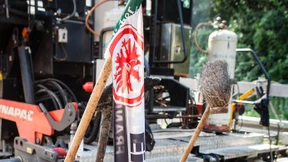 Die Eintracht – eine Baustelle