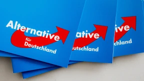 Mainzer Spitzenkandidat der AfD angeklagt