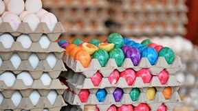 Zeigt her eure Eier!