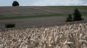 Zwischen Ernten und Erwartungen