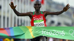 Marathon als Laborversuch  