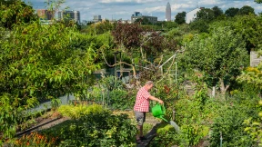 Gärtner-Idyll im Parzellenformat