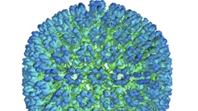 Epstein-Barr-Virus als Auslöser von Multipler Sklerose