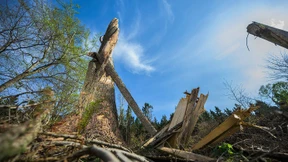 Waldbrandgefahr nach Niederschlägen etwas gemildert