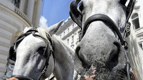 Gute Nachrichten, die Sie verpasst haben dürften