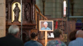 Der große Baobab ist gefallen 