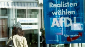 AfD-Steuerpläne würden Besserverdiener entlasten