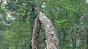 Naturkunst im Entstehen