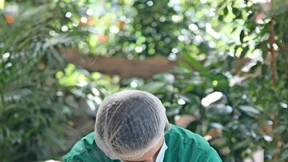 Pandas werden präsentiert