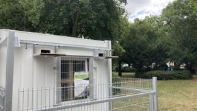 Mühseliges Geduldsspiel mit Stadttauben