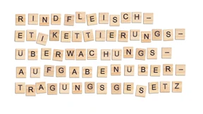 Der Sprach-TÜV fürs Parlament