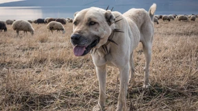 Kein Terror im Paradies