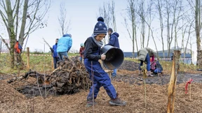 Kleiner Wald mit großer Wirkung