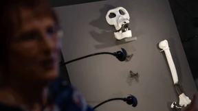 Erster gehender Mensch war Europäer