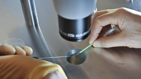 Frau bringt Söhne fremder Paare zur Welt