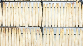 Sprießender Spargel und explodierende Kosten