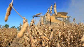 Spekulanten: Wir machen das Getreide teuer