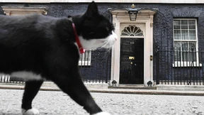 Der „Chief mouser“ tritt ab