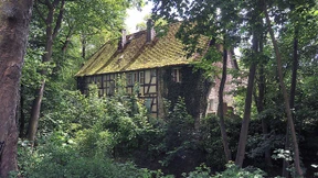 Neue Pläne für Alte Mühle