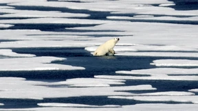 Radikaler Plan fürs Klima