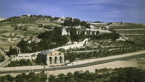 Was verrät uns der Garten Gethsemane?