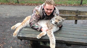 Luchs wieder eingefangen