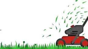 Was den Igel wirklich wurmt