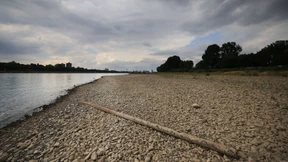 Hitze lässt Rhein schrumpfen