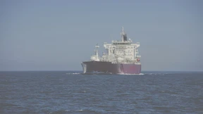 Unterschätzter Klimaschützer