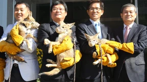 China baut die größte Klon-Fabrik der Welt