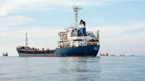 Bizarrer Streit um ukrainische Getreideexporte aus dem Donaudelta