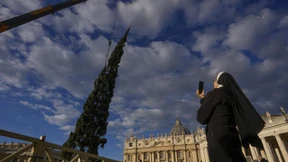 Aktivisten wollen Weihnachtsbaum auf dem Petersplatz verhindern