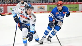 Musterschüler in der Deutschen Eishockey Liga