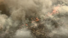 Weltnaturerbe von Flammen zerstört