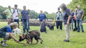 Welpentraining im Niddapark