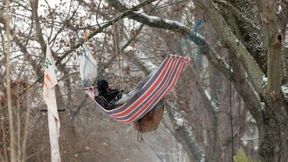 Polizei mahnt zu Friedfertigkeit im Fechenheimer Wald