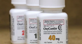 McKinsey zahlt nochmals 230 Millionen Dollar