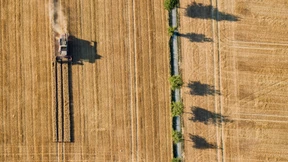 Wo es bei der Klimapolitik der Bundesregierung hakt