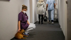 „Es gibt so viele Gerüchte“