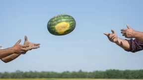 Ein Bild sagt mehr als 1000 Worte