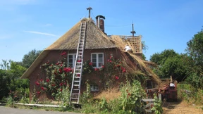 Es läuft sich schon alles irgendwie aus