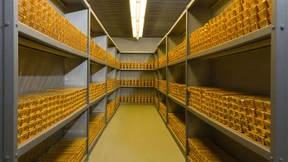 Die Flucht vor dem Negativzins