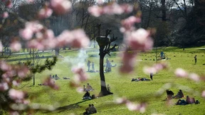 In Hessen wird es am Mittwoch richtig frühlingshaft